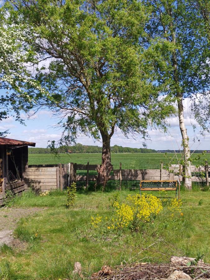 Boven De Wol Bed & Breakfast Appelscha Eksteriør bilde